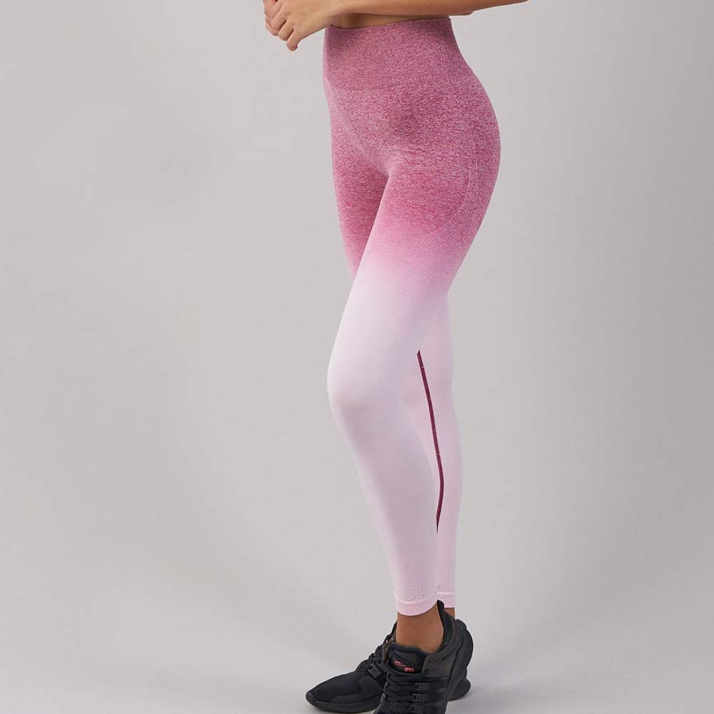 Leggins Seamless Degradado